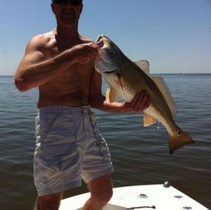 Meet your Posher, Max